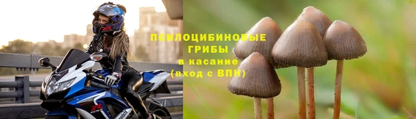 ALPHA-PVP Богородицк