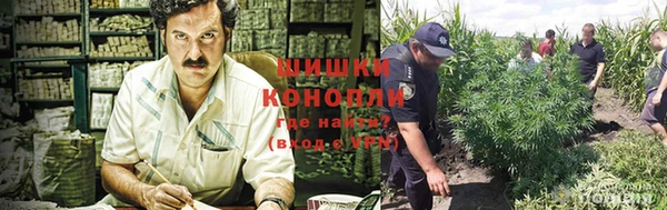 ALPHA-PVP Богородицк