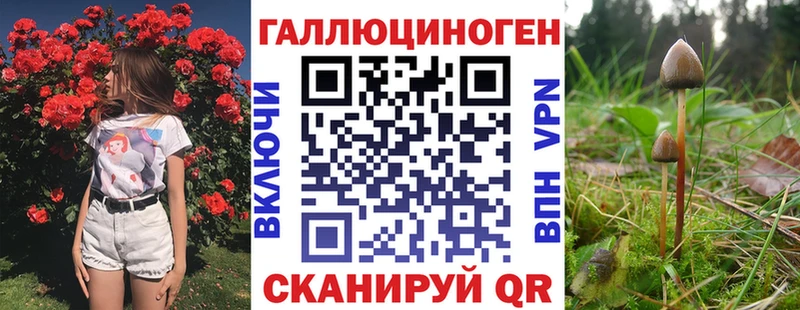 Галлюциногенные грибы ЛСД  купить   Нерюнгри 